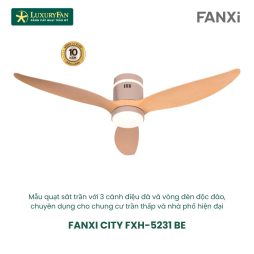 FANXI CITY FXH-5231 BE
