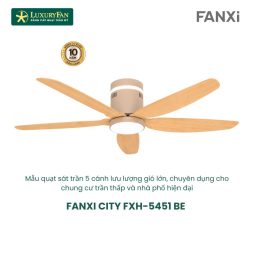 FANXI CITY FXH-5451 BE