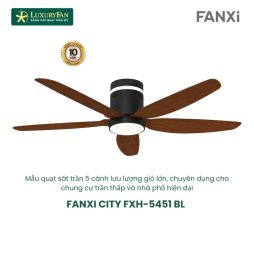 FANXI CITY FXH-5451 BL