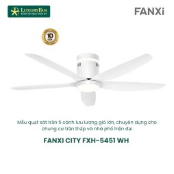 FANXI CITY FXH-5451 WH