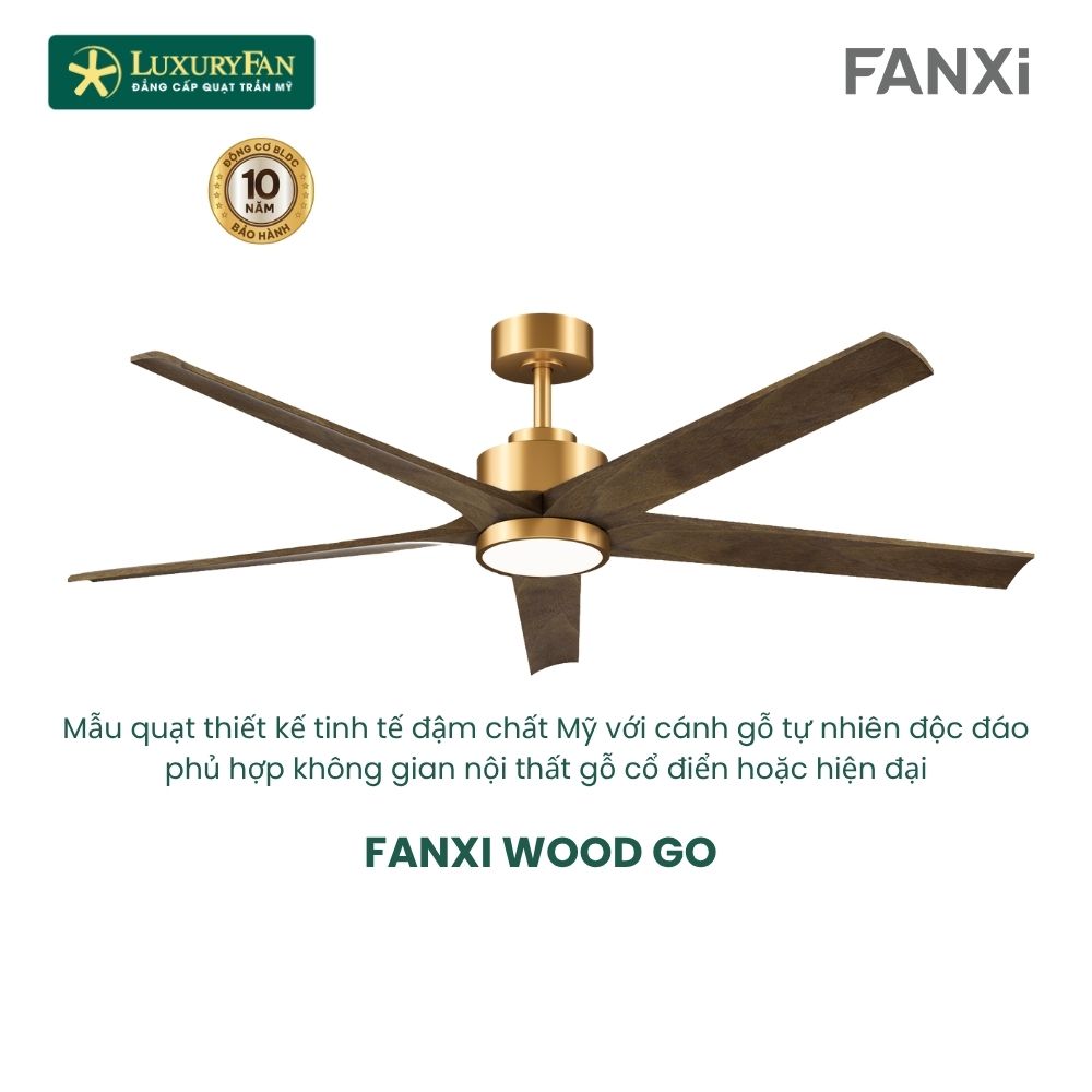 FANXI WOOD (3)