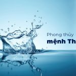 Phong thủy mệnh Thủy: Màu hợp, hướng tốt, vật phẩm và cách bố trí không gian mang lại may mắn